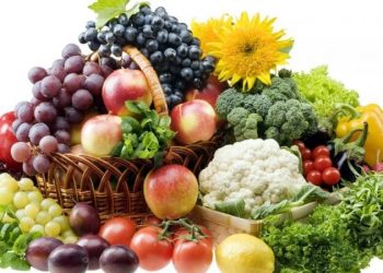 تصريح مضلل لوزارة الزراعة..”صدرنا 5 ملايين طن حاصلات زراعية لأول مرة في التاريخ”