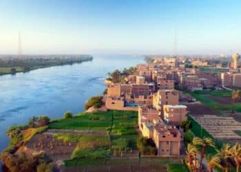 كم شركة خاصة تعمل في تنمية الصعيد؟ تصريحات “شيحة” مُضللة