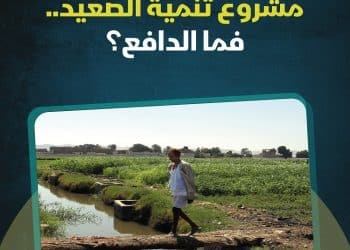 تنمية الصعيد