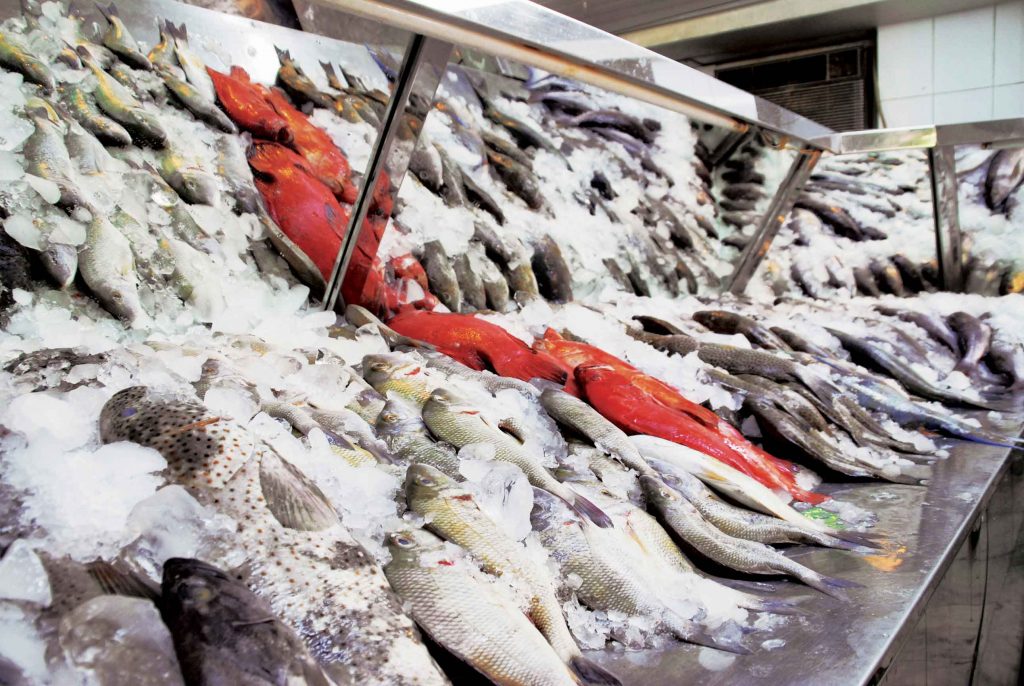 مُتحدث الزراعة يُطلق تصريحًا "غير دقيق" حول ترتيب مصر في إنتاج الأسماك