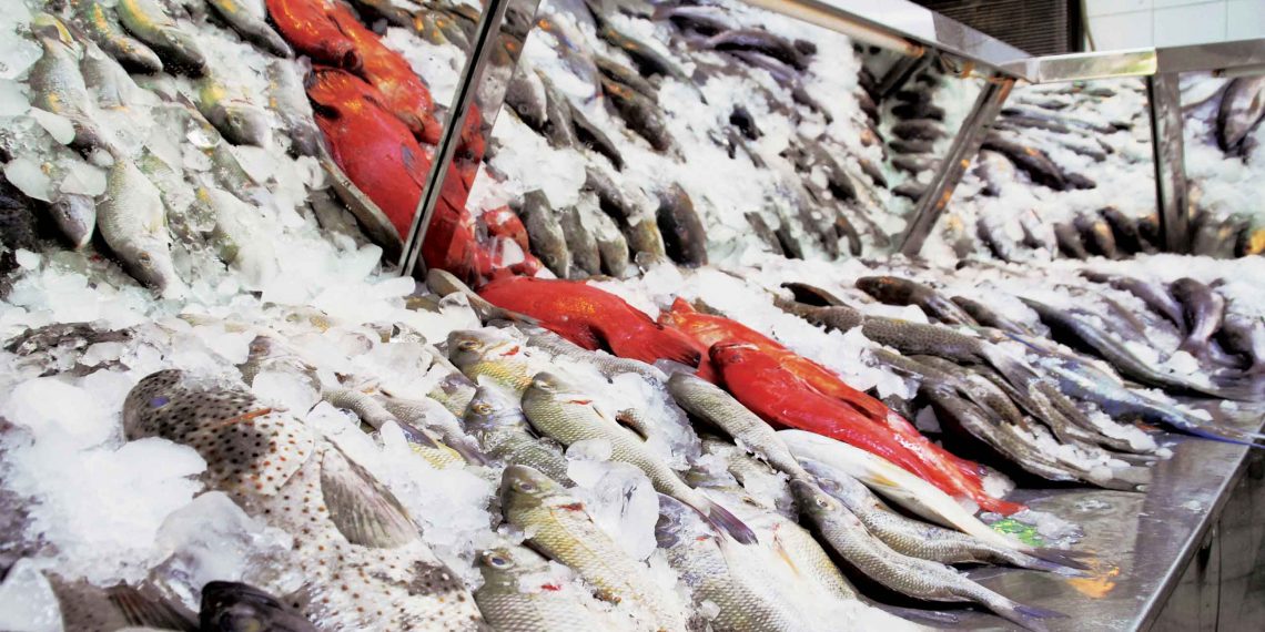 مُتحدث الزراعة يُطلق تصريحًا "غير دقيق" حول ترتيب مصر في إنتاج الأسماك