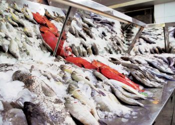 مُتحدث الزراعة يُطلق تصريحًا "غير دقيق" حول ترتيب مصر في إنتاج الأسماك