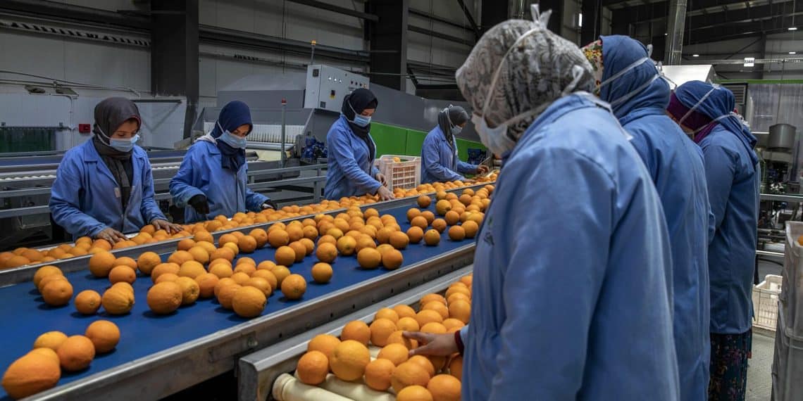 كم يبلُغ عدد العاملين بالقطاع الخاص؟ تصريحات برلمانية “غير دقيقة”