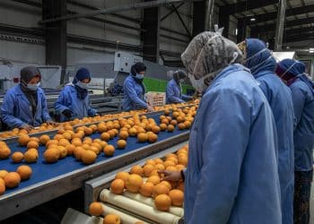 كم يبلُغ عدد العاملين بالقطاع الخاص؟ تصريحات برلمانية “غير دقيقة”