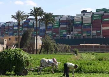 عضو بـ”زراعة الشيوخ” يقول إن قيمة الصادرات الزراعية 2.25 مليار دولار.. هل الرقم صحيح؟