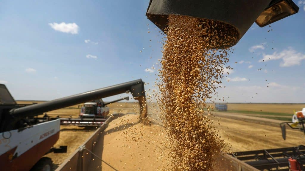تصريحات "غير دقيقة" لمُتحدث الوزراء حول ترتيب روسيا في إنتاج القمح عالميًا
