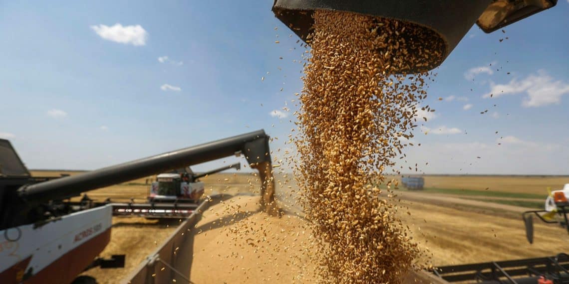 تصريحات "غير دقيقة" لمُتحدث الوزراء حول ترتيب روسيا في إنتاج القمح عالميًا