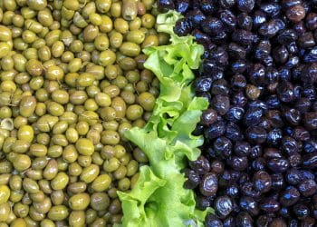 وزير الزراعة يقول إن مصر أكبر دول العالم إنتاجًا للزيتون.. تعرف على ترتيبها الصحيح