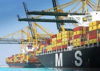 هل حققت صادرات مصر للبرازيل ارتفاعًا كبيرًا كما تقول وزيرة التجارة؟