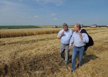 ما هي نِسبة مُشاركة روسيا وأوكرانيا في صادرات القمح العالمية؟