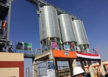 مُستشار وزير الزراعة يُطلق أرقامًا "غير دقيقة" حول سِعة الصوامع