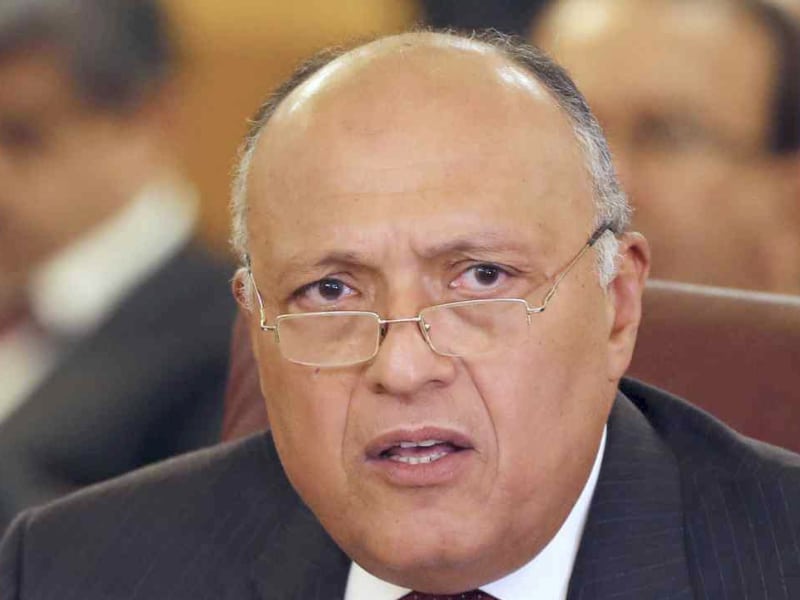 سامح شكري