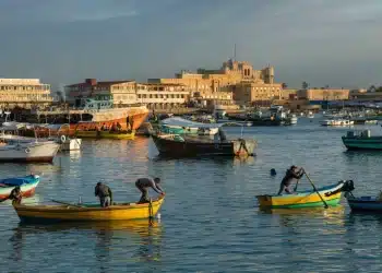 استثمارات الحكومة بالإسكندرية زادت بنسبة أكبر من التي أعلنتها وزيرة التخطيط.. تعرف