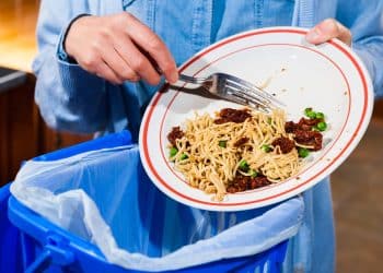 أرقام مُفاجئة.. كم يبلُغ حجم الطعام المُهدر سنويًا في مصر؟