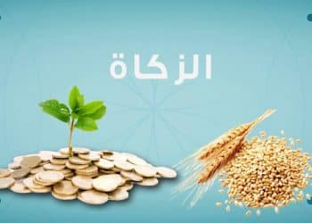 “مُصوب” هل تتناسب الـ15 جُنيهًا المُحددة لـ “الزكاة” مع أسعار “صاع القمح” في الأسواق؟
