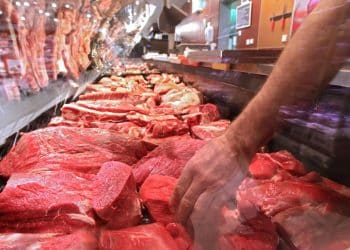 هل البرازيل هي أكبر منتج للحوم كما يقول رئيس الخدمات البيطرية؟