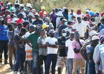 كم يبلغ تعداد سكان إفريقيا؟ أرقام وزير الزراعة "غير دقيقة"