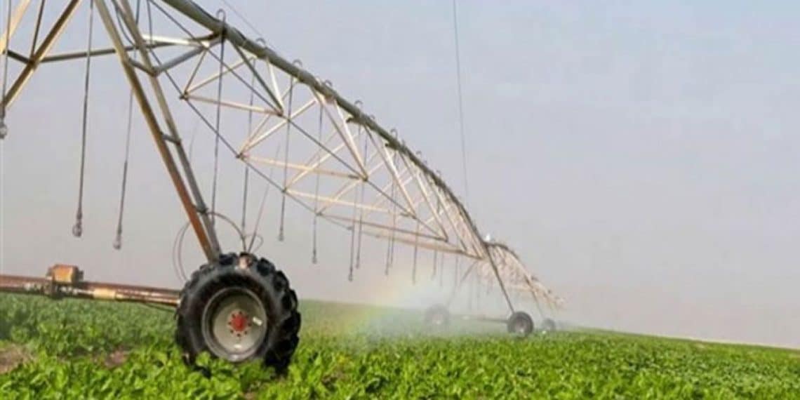 أرقام مستشار وزير الزراعة عن مساحة الدلتا الجديدة "غير دقيقة"