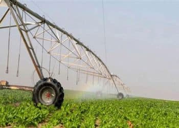 أرقام مستشار وزير الزراعة عن مساحة الدلتا الجديدة "غير دقيقة"