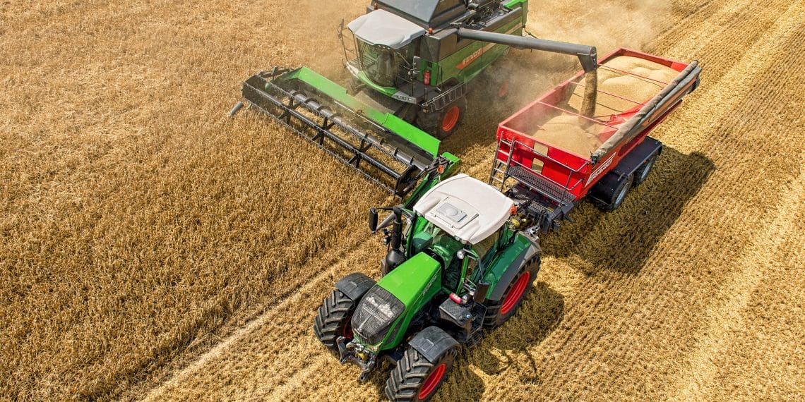 أرقام متحدث الزراعة عن مساحة القمح قبل 2014 "غير صحيحة"