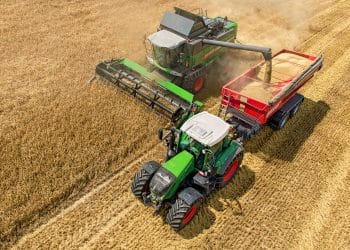 أرقام متحدث الزراعة عن مساحة القمح قبل 2014 "غير صحيحة"