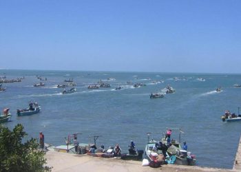 تصريحات رئيس الثروة السمكية عن إنتاج بحيرة المنزلة بعد تطويرها "مضللة"