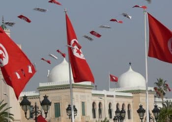 هل "الرقابة على الرئيس" هي الانتقاد الوحيد لمشروع الدستور التونسي الجديد؟