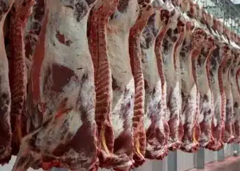 تصريحات المتحدث باسم الزراعة المصرية عن الاكتفاء الذاتي من اللحوم “مضللة”