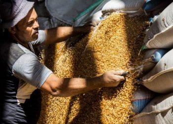 ارتفاع أسعار السكر والحبوب في تونس.. وتصريحات مدير ديوان التجارة “مضللة”