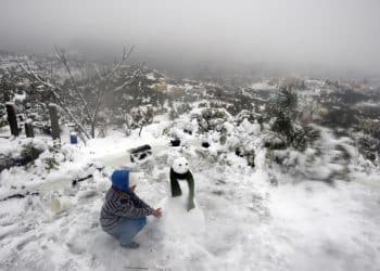 ما هو ترتيب مصر في مؤشر أداء تغير المناخ لعام 2022؟