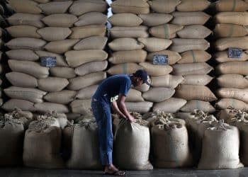 أرقام رسمية “متضاربة” حول مخزون البن في مصر.. تعرف