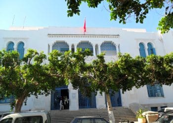 هل تقدم أمريكا منحًا مباشرة للتونسيين بدون تدخل من حكومتهم؟