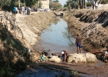 تزايد المخاوف بين المواطنين.. هل عادت الكوليرا لمصر؟