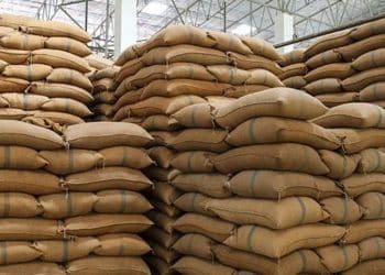 “مصر لم تستورد الأرز منذ 2017”.. نتحقق من تصريح رئيس الشعبة