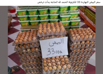 هل انخفض سعر كرتونة البيض في مصر إلى 33 جنيهًا؟