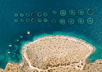 بعد تعدد ألوان الاقتصاد العالمي.. ما هو الاقتصاد الأزرق وكيف تستغله تونس؟