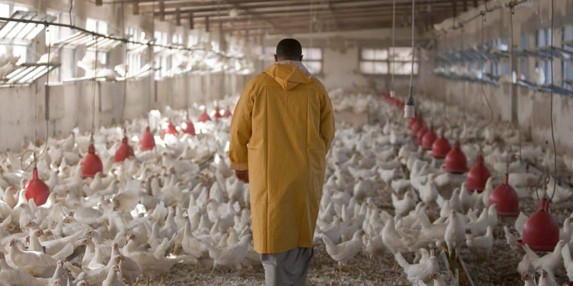 المصدر: عربي بوست