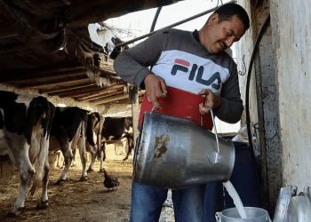 المصدر: رويترز