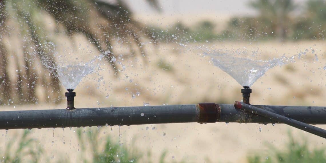 المصدر: WES-MED.EU