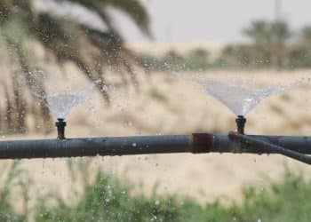 المصدر: WES-MED.EU