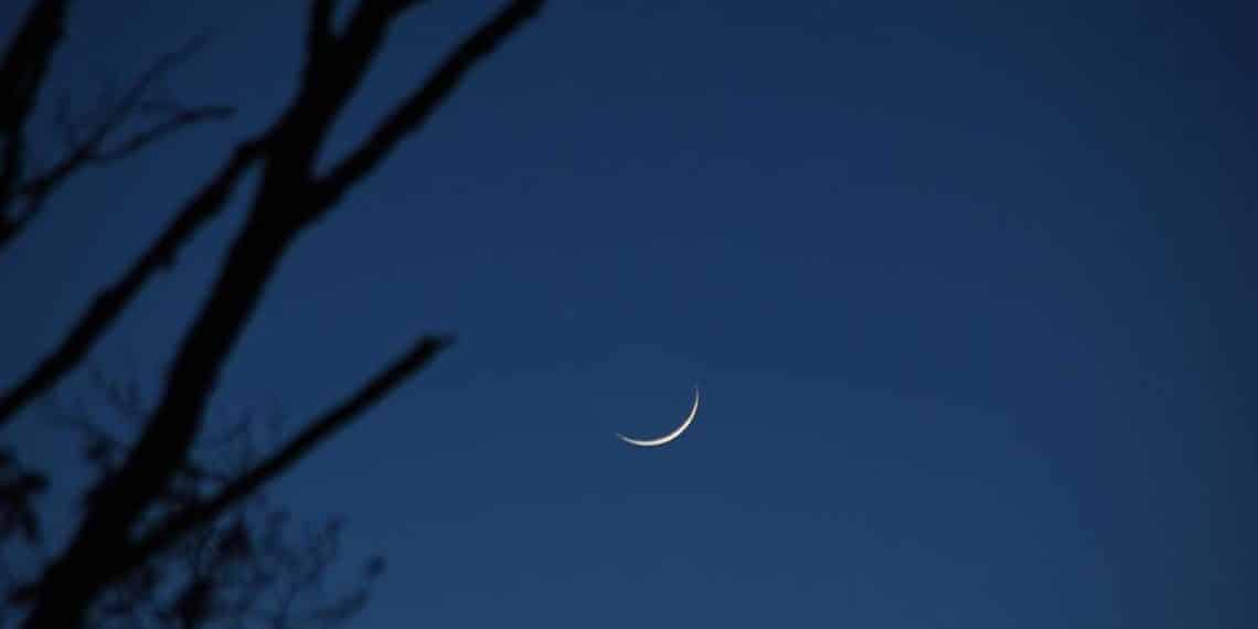 المصدر: أريبيان بزنس