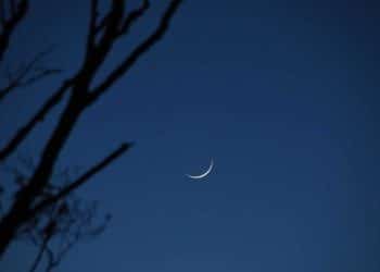 المصدر: أريبيان بزنس