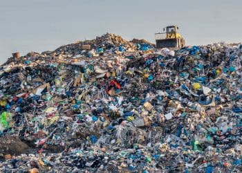 المصدر: ناس نيوز