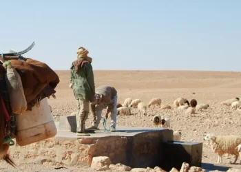 المصدر: المشهد