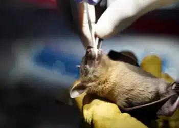 المصدر: سكاي نيوز عربية