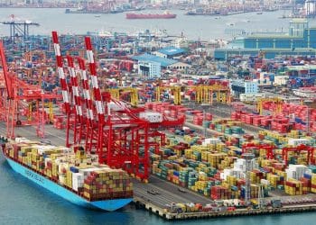 المصدر: Economy Plus