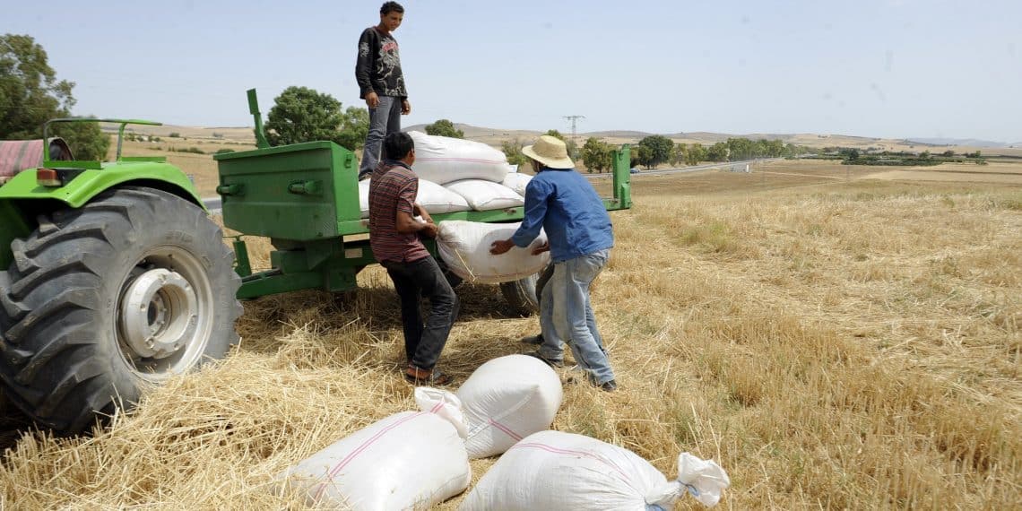 المصدر: العربي الجديد