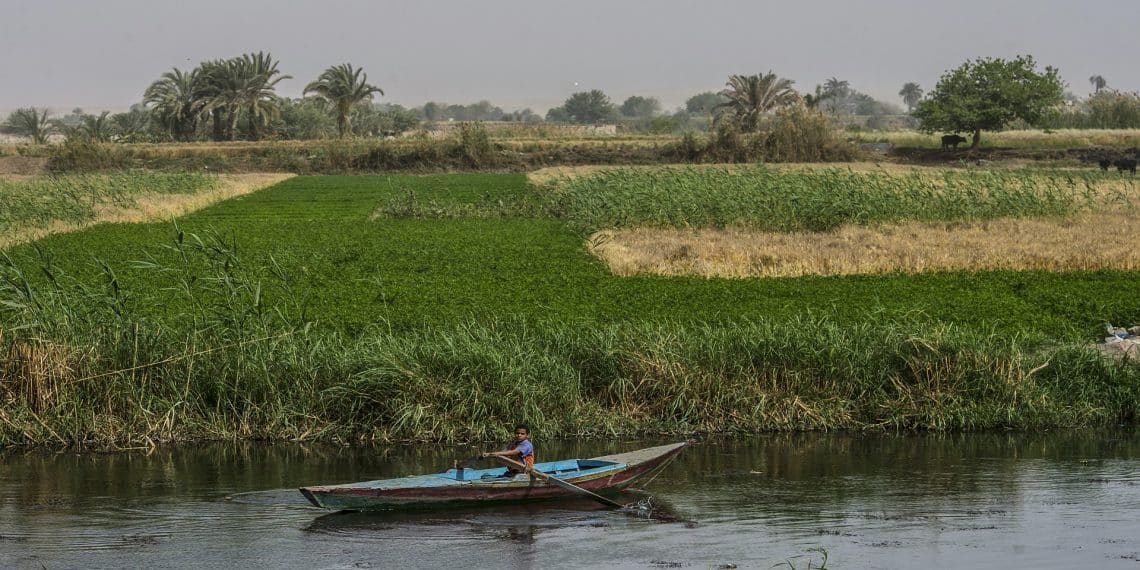 المصدر: العربي الجديد
