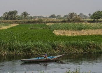 المصدر: العربي الجديد