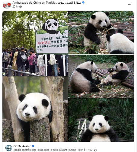 آخر منشور على صفحة السفارة الصينية في تونس